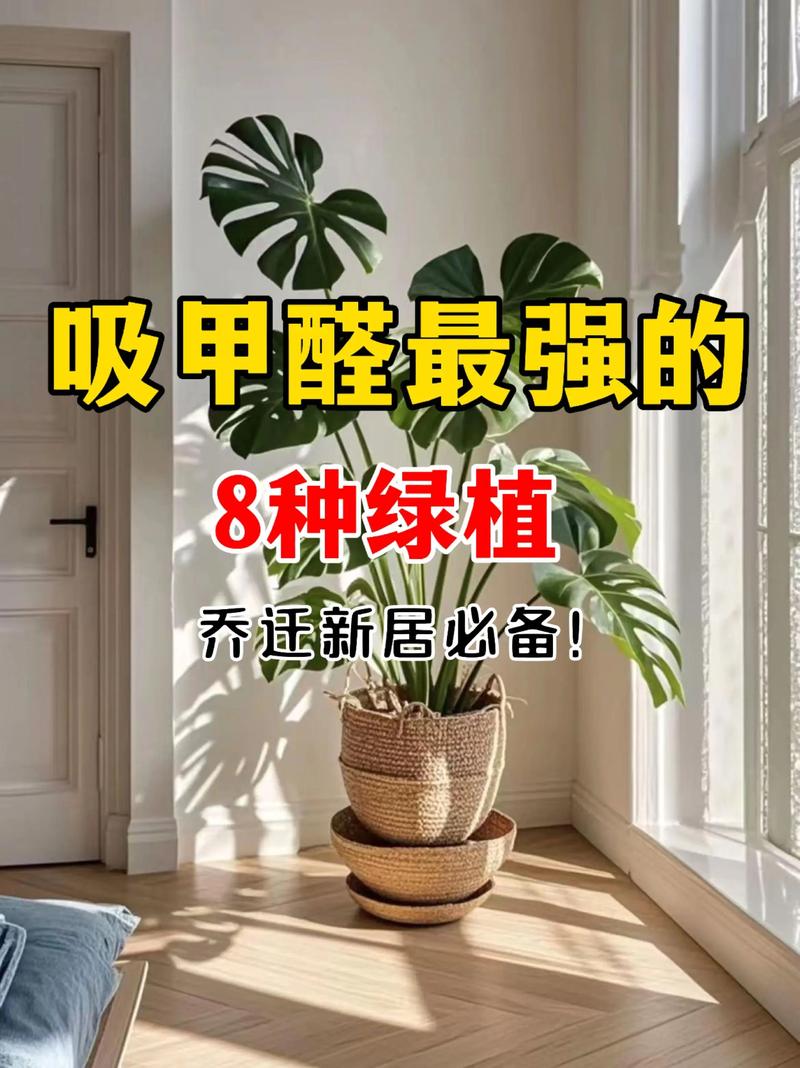 电木板有甲醛吗