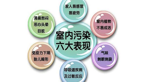如何去除室内的异味 怎样去除室内的异味 如何去除室内的异味 怎样去除室内的异味