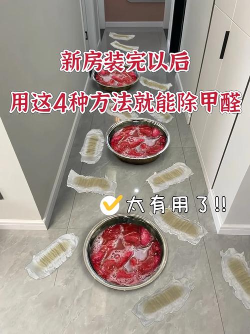 专门去除新房甲醛的公司费用多少 专门去除新房甲醛的公司费用多少