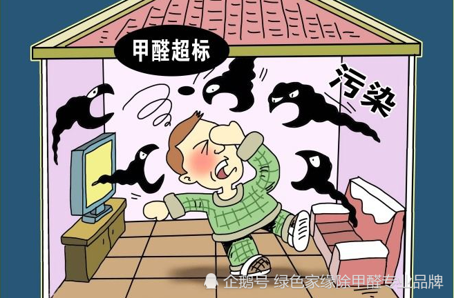 汽车知识:新车到底有没有甲醛?