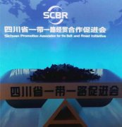四川省一带一路经贸合作促进会甲醛检测